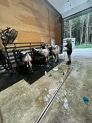 Barn Tour Area 10