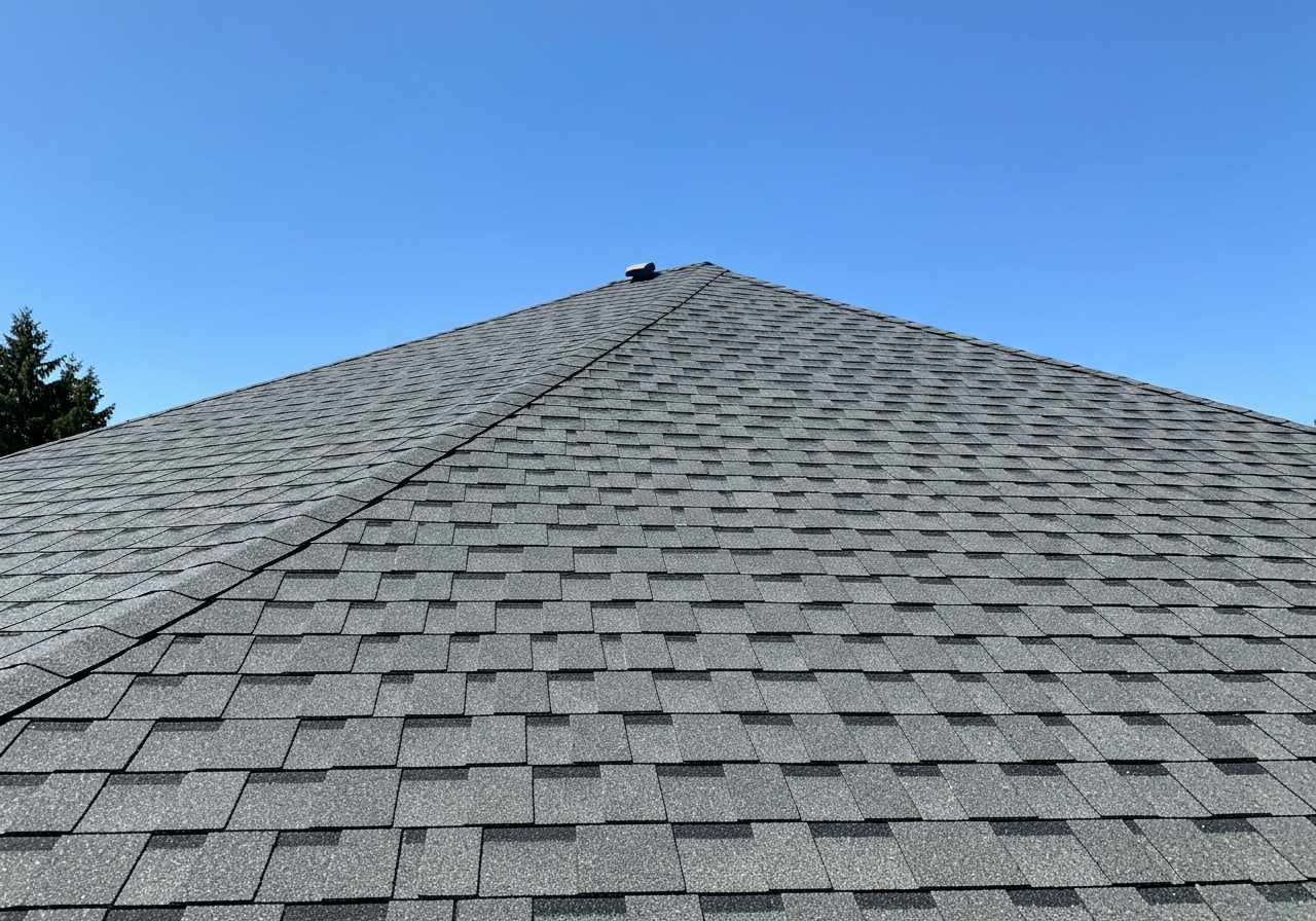 Safe Roof Moss Removal