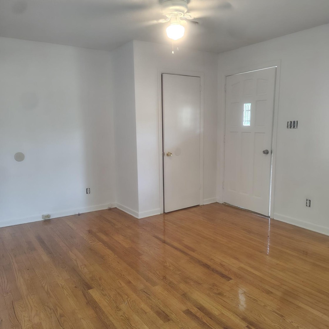 Professional painter at work