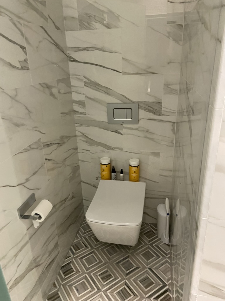 Modern toilet installation