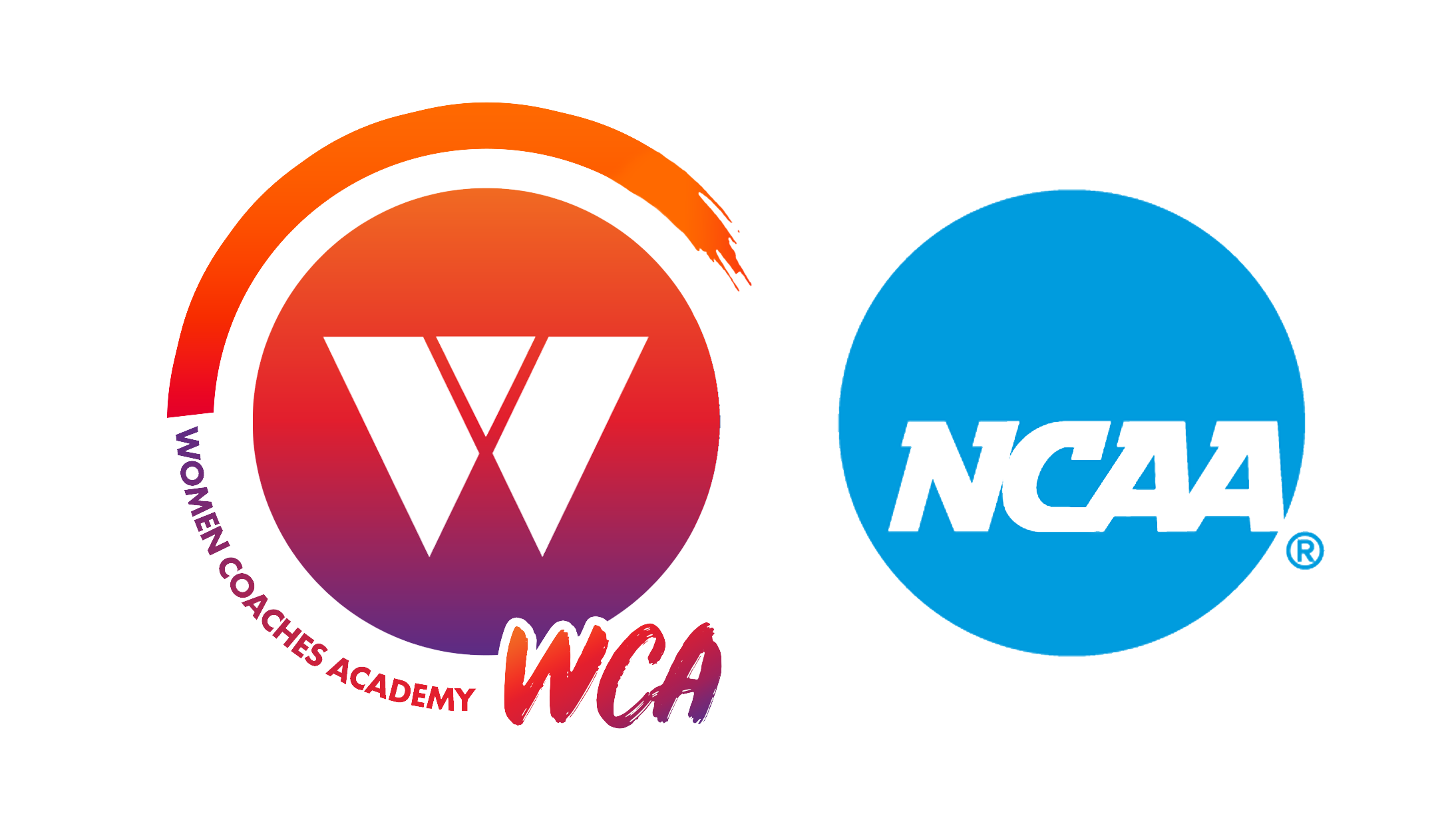 Partner Logo 1