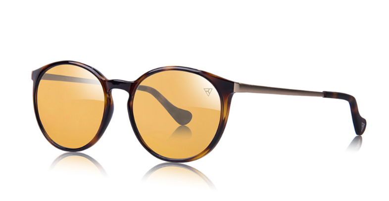 Tesla Glasses