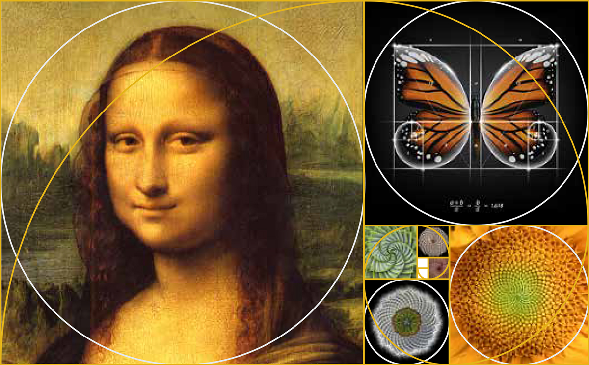 The Golden Ratio in nature and art
