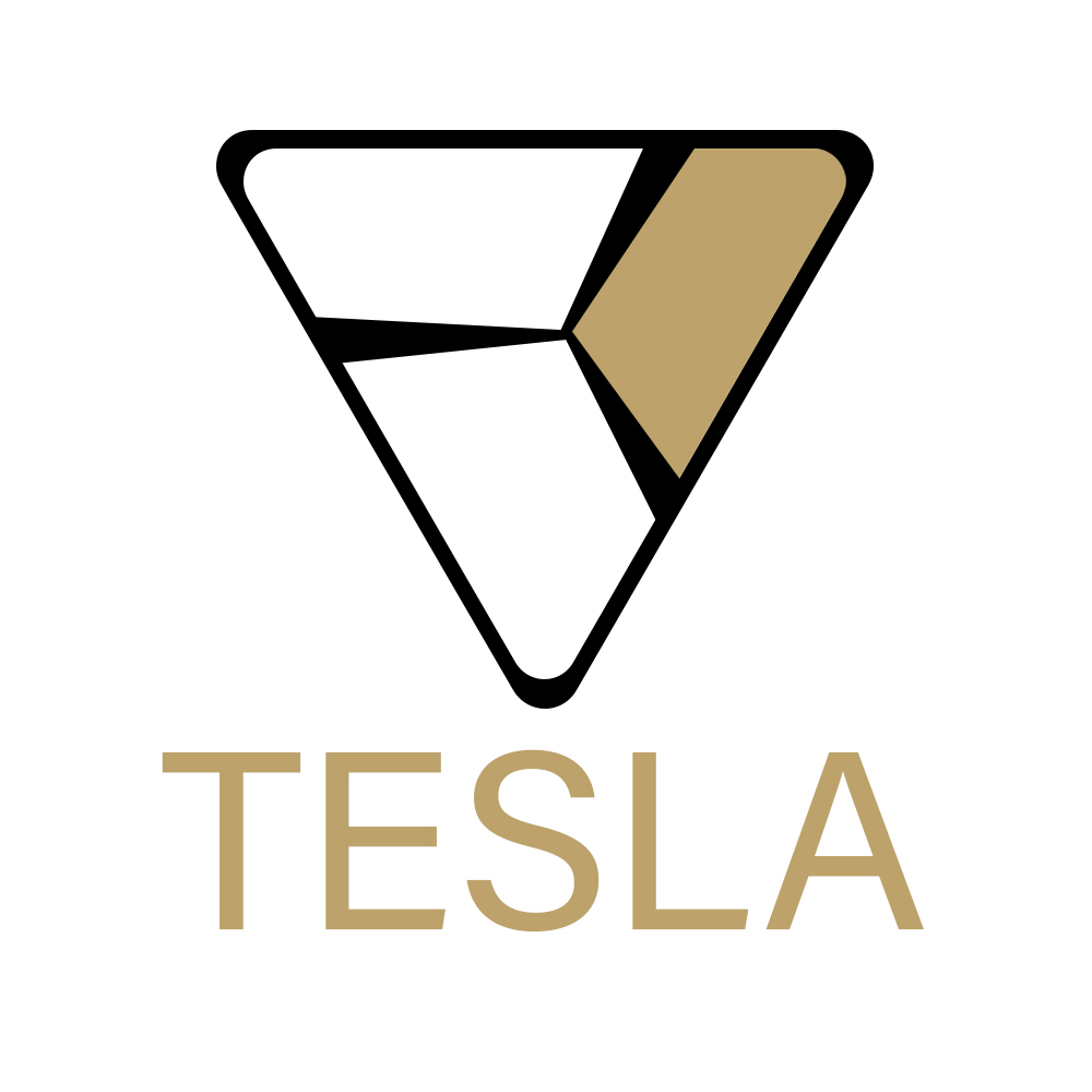 Tesla Glasses