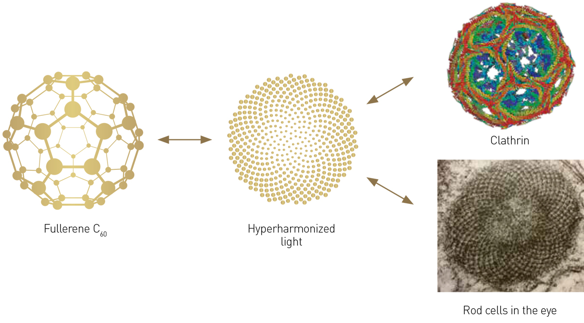 Fullerene to Hyper-harmonised light to Clathrin and Rod cells diagram