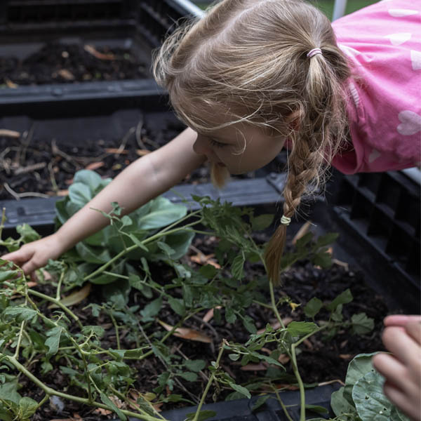 Preschoolers learning
