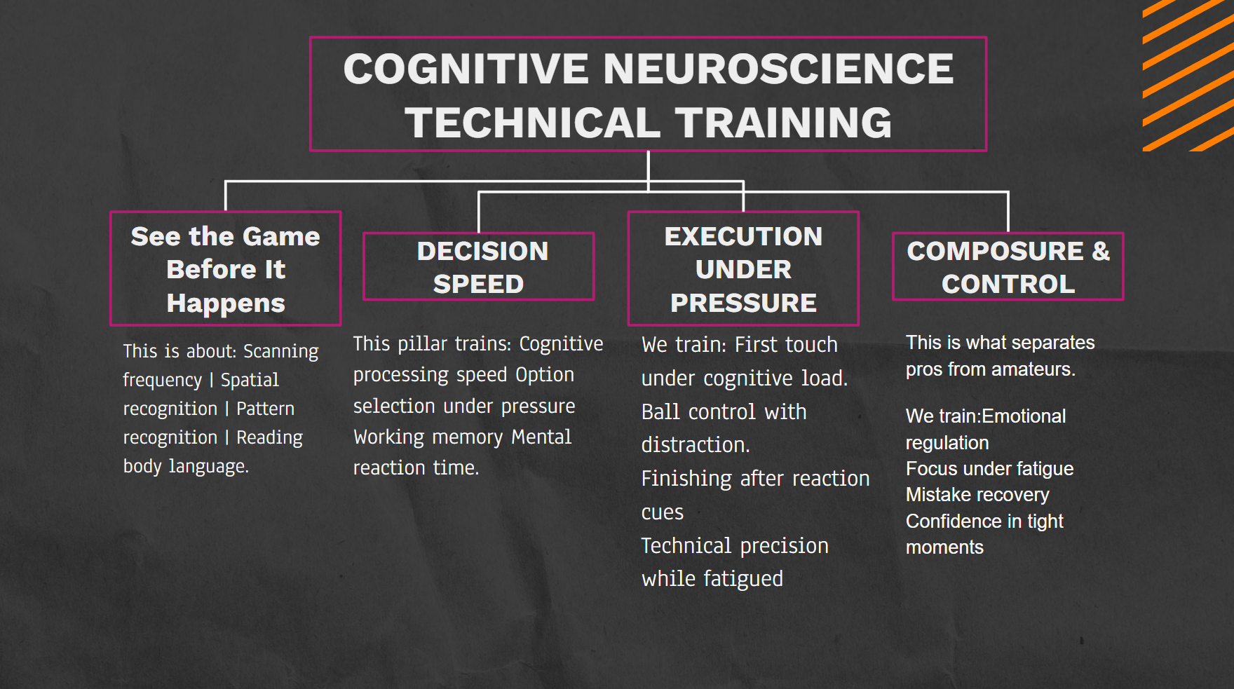 Cognitive Neuroscience Technical Training