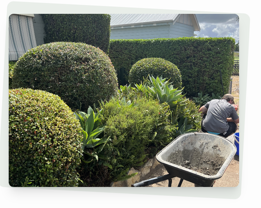 Hedge Trimming Maitland