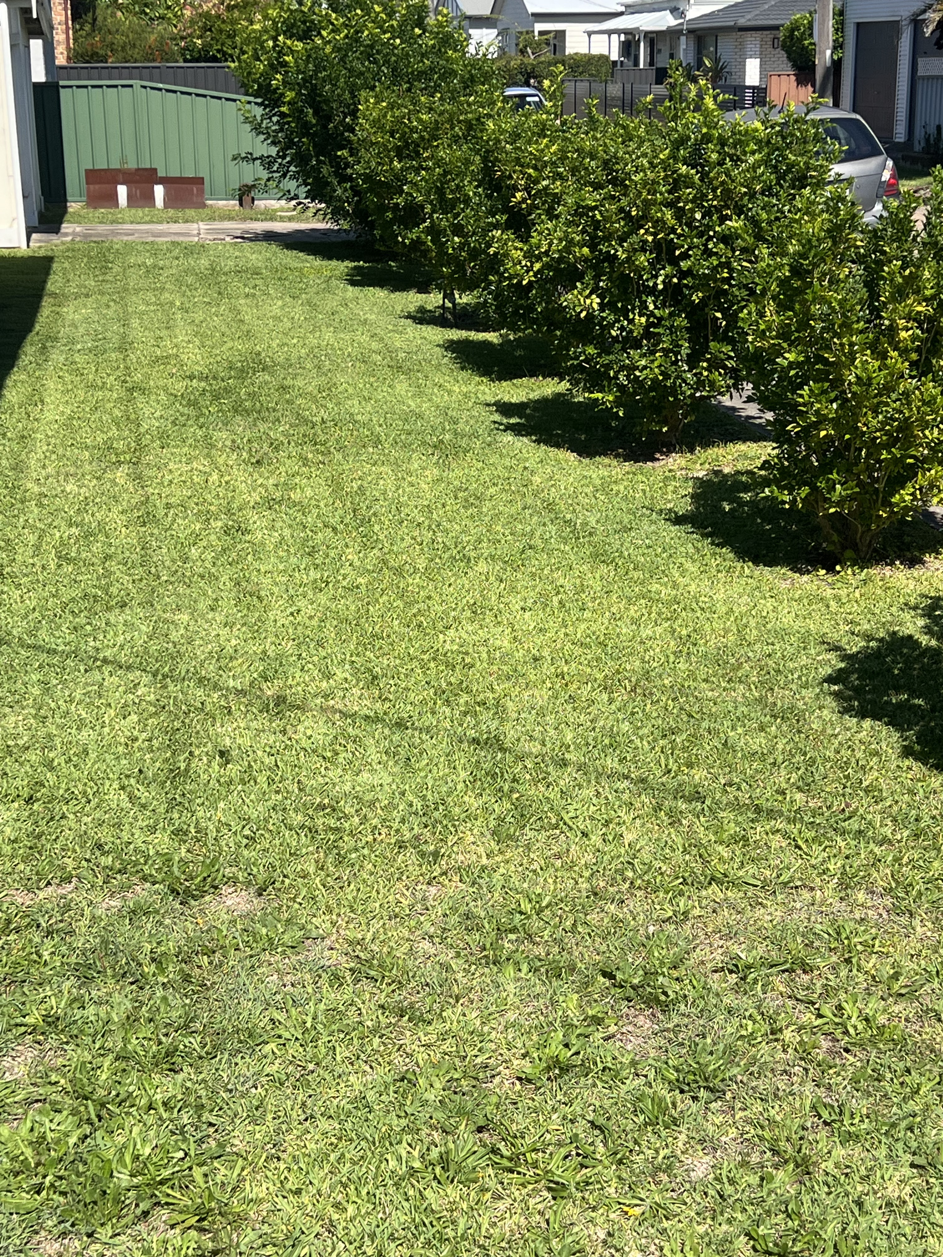 Lawn Maintenance Maitland