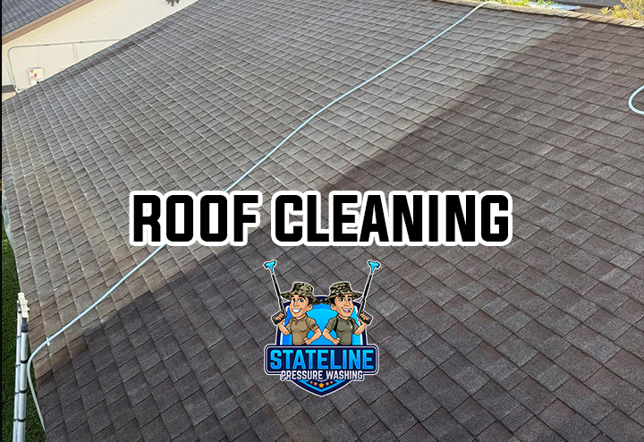 Roof Cleaning
