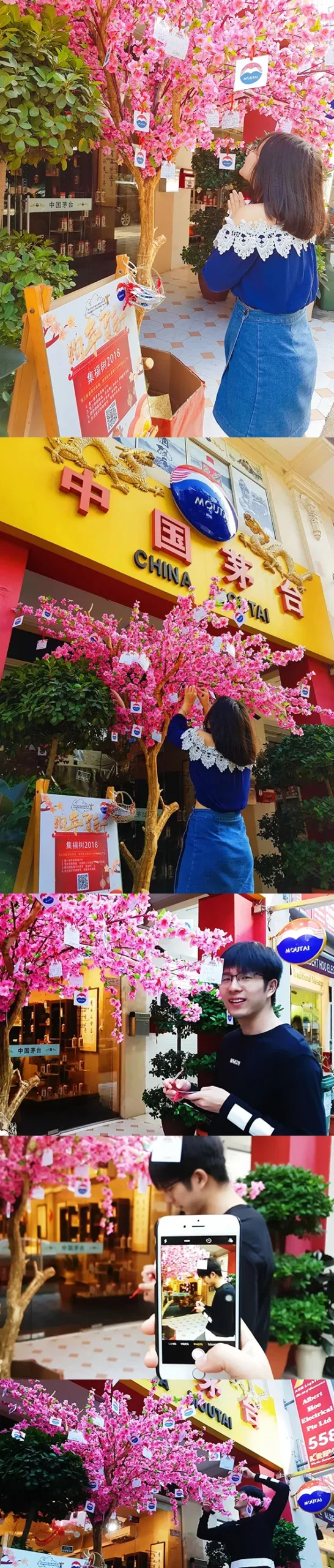 Fortune Tree 2