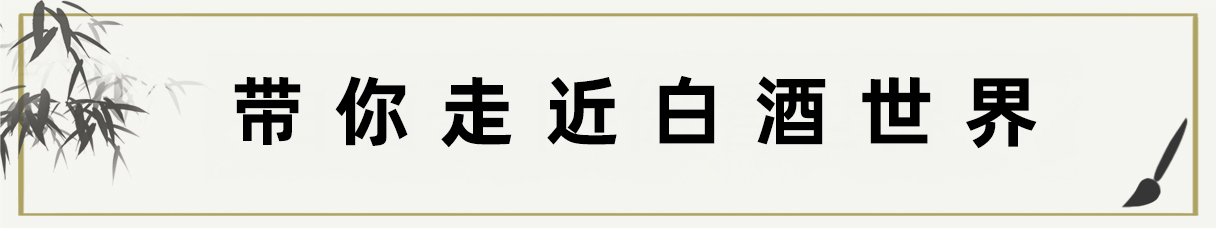 带你走进白酒世界