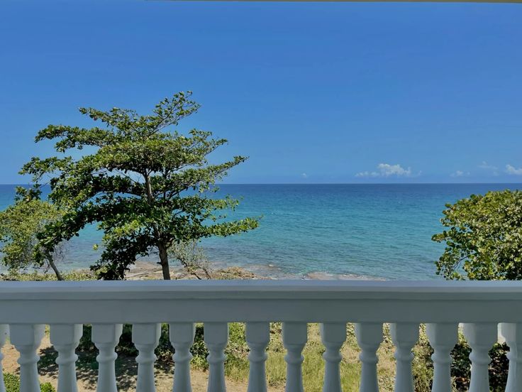 Where the Sea Meets Serenity