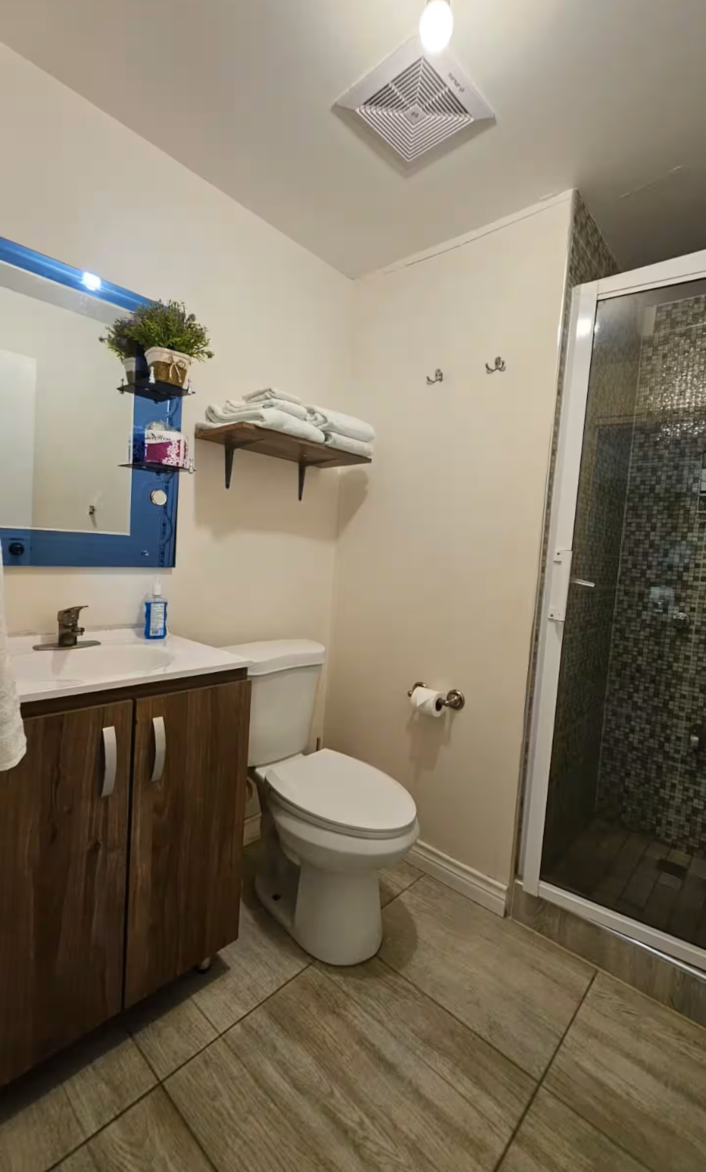 Modern Bathroom Vanity with Fresh Towel Racks & Glass Enclosed Shower