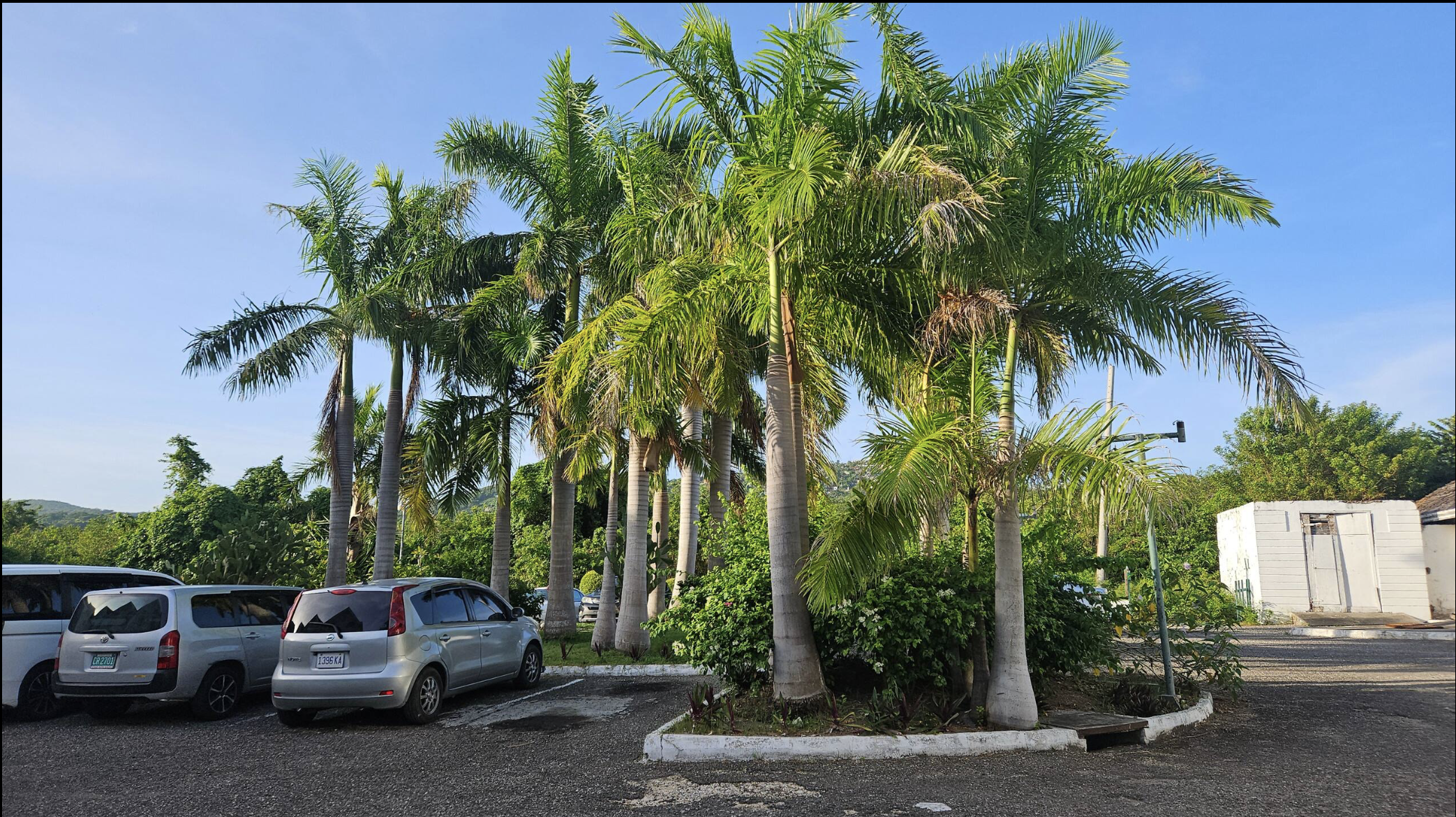 Gated Guest Parking & Tropical Royal Palms