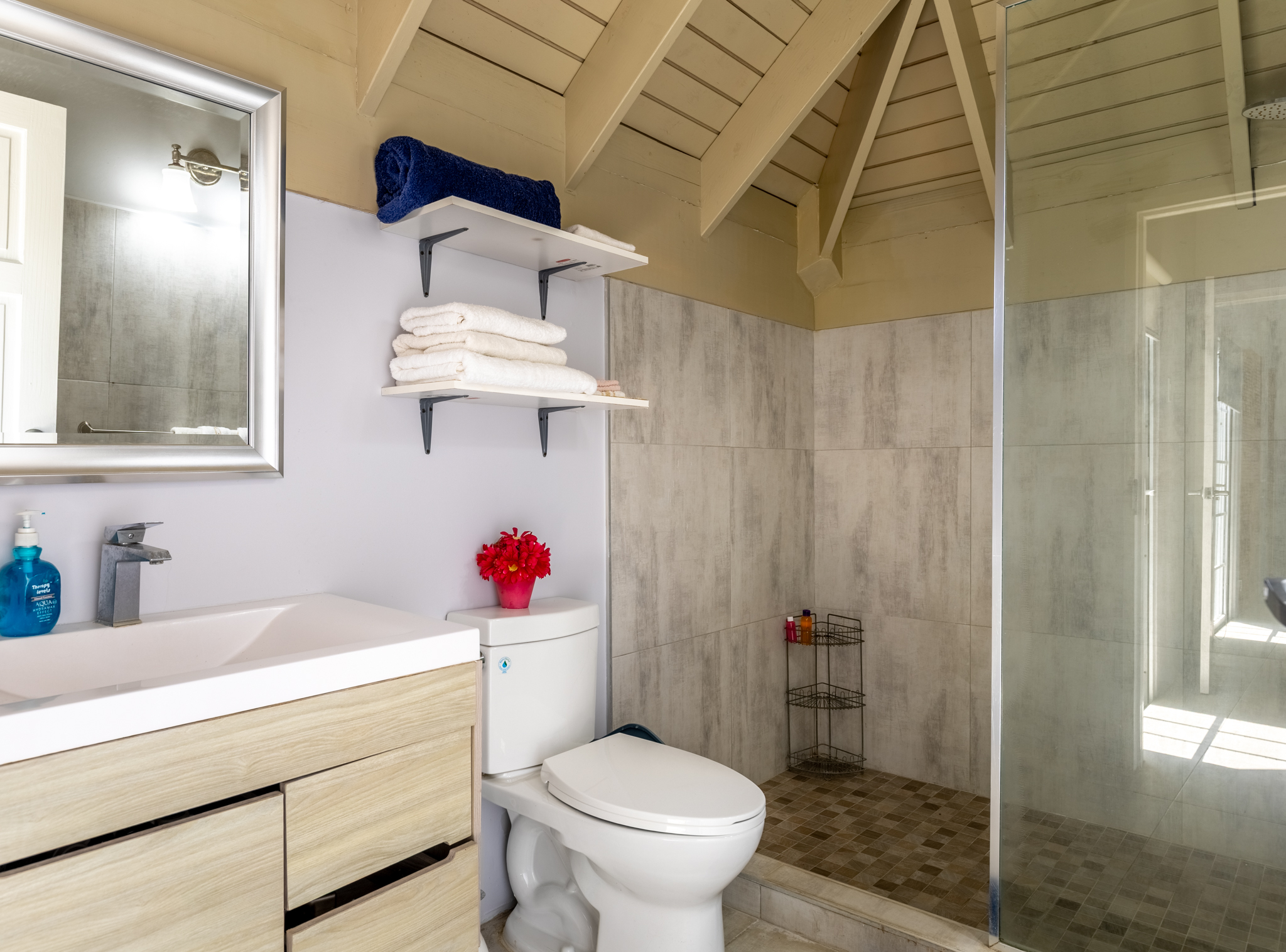 Lux Penthouse 207 - Modern Bathroom with Cathedral Wood Ceilings & Walk-In Glass Shower