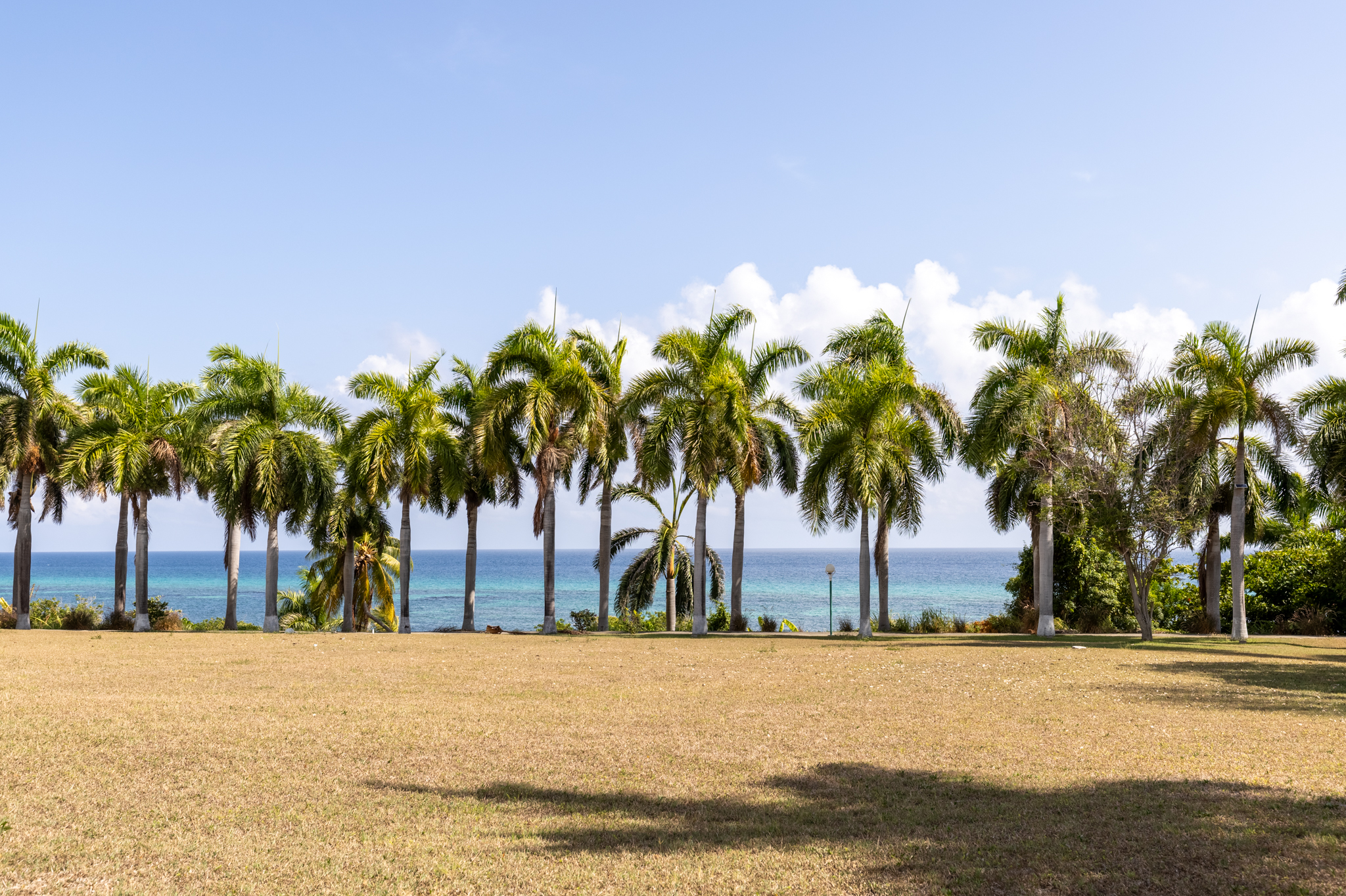 Seacastles, Rose Hall - Oceanfront Royal Palm Grove & Caribbean Sea Horizon