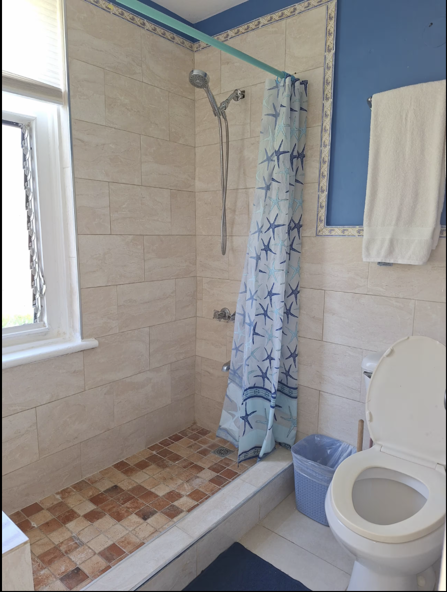 Tiled Walk-In Shower with Starfish Curtain, Handheld Shower Head & Natural Window Light