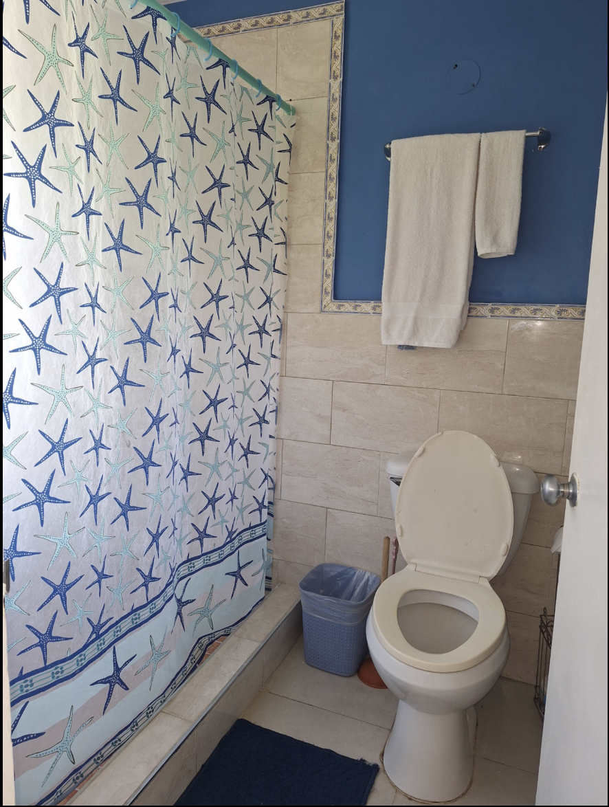 Ensuite Bathroom with Starfish Shower Curtain, Coastal Blue Accent Wall & Fluffy Towels
