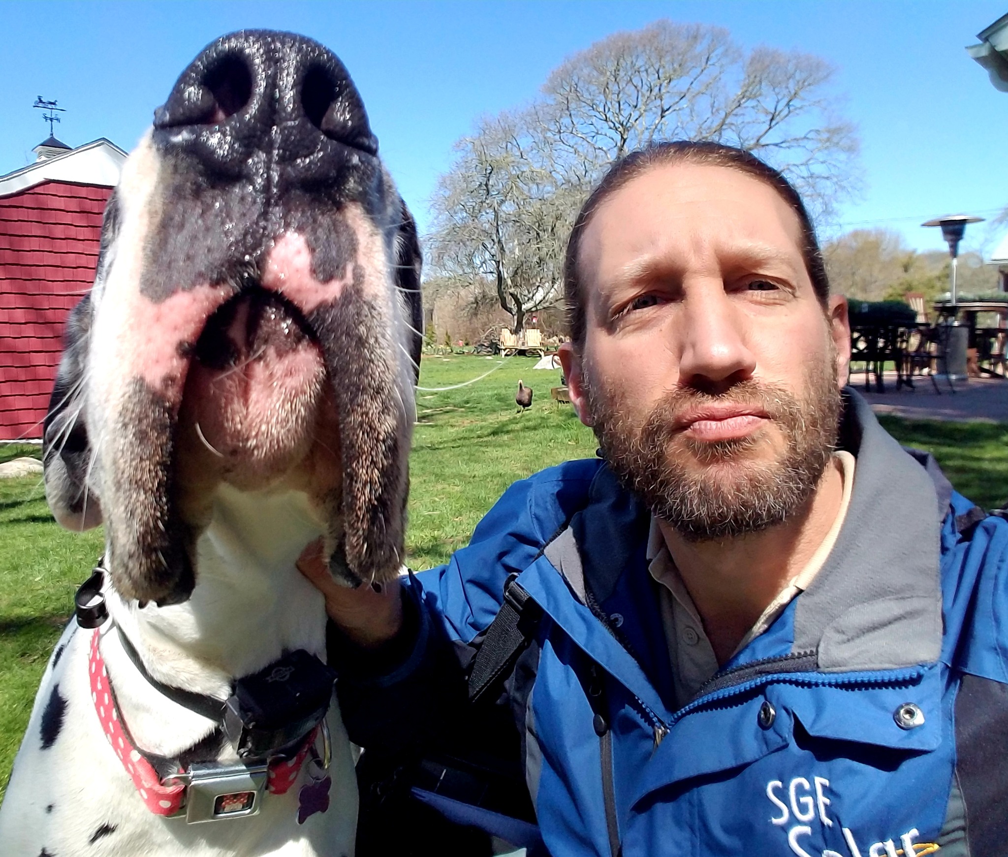 Solar Dave and his dog