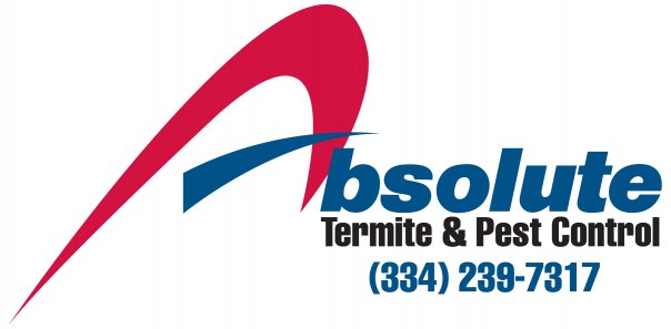 Absolute Termite & Pest Control