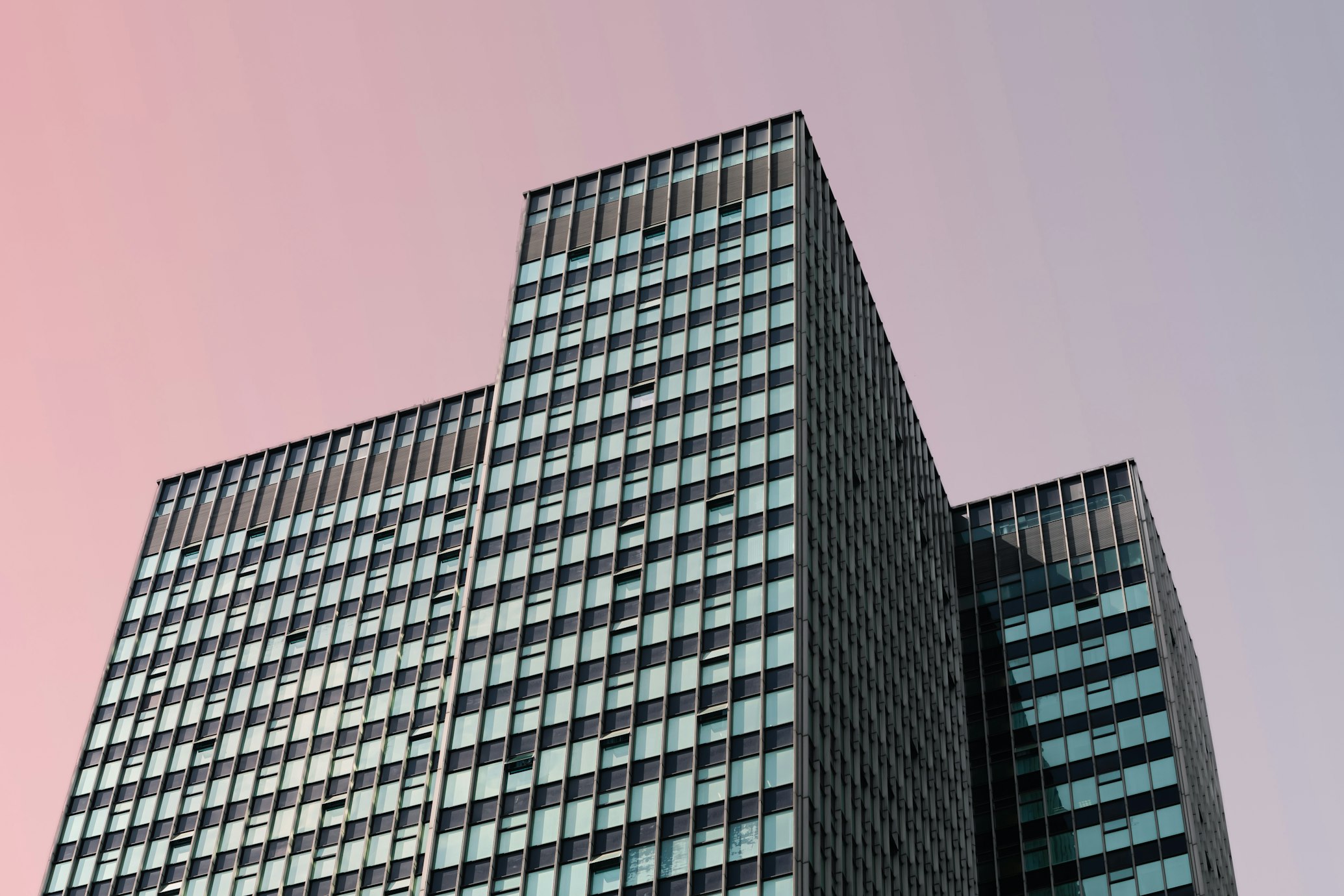 The Temecula Real Estate Market in 2026: Wine Country Living