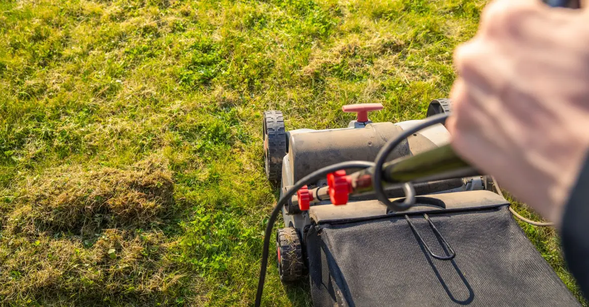 What is aeration, and how do I know if my lawn needs it?