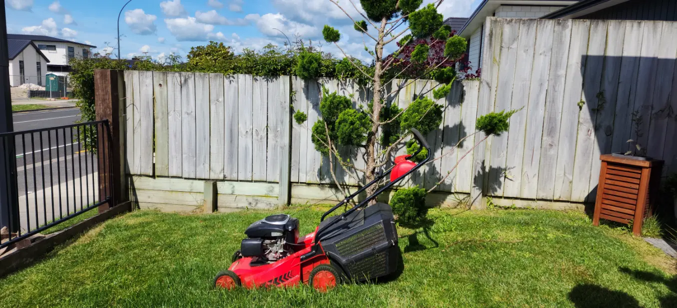 Gecko Lawns Services