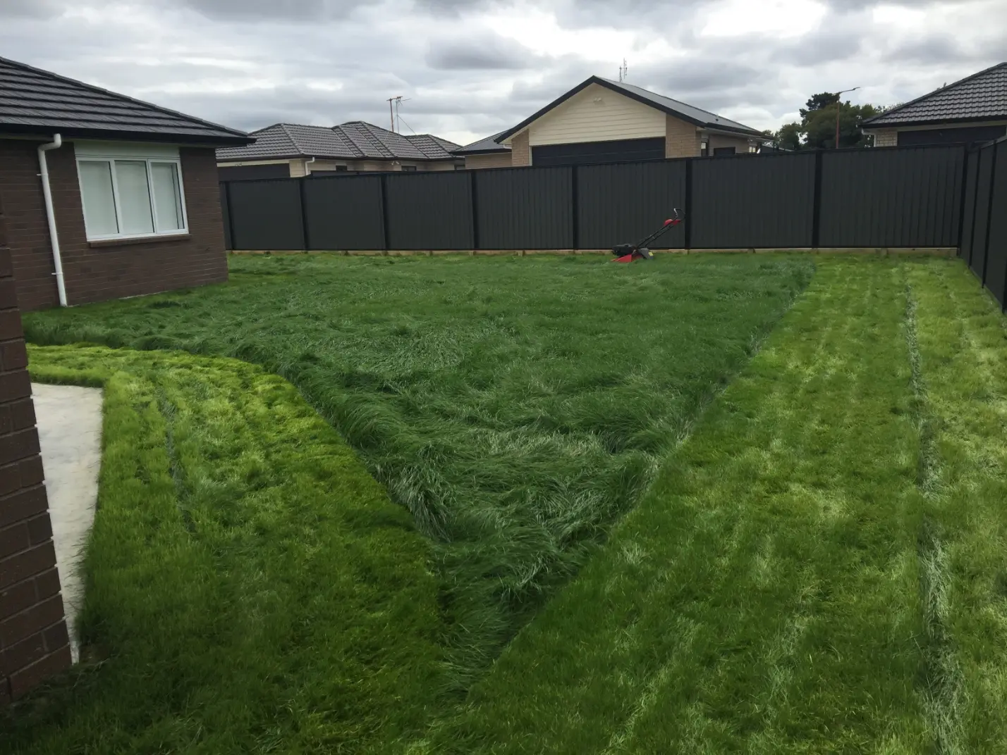 How Often Should You Mow Your Lawn in Spring?