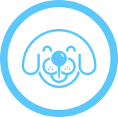 The Dog Hood