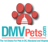 DMV Pets