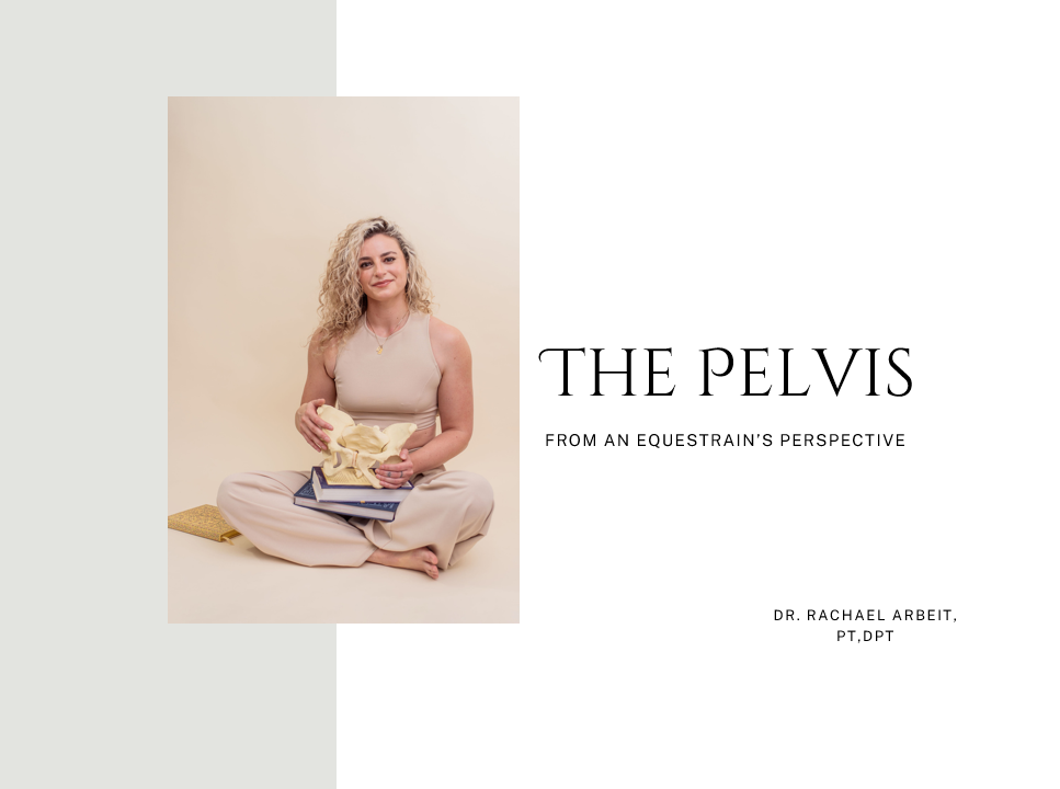 The Pelvis: From an Equestrian's Perspective