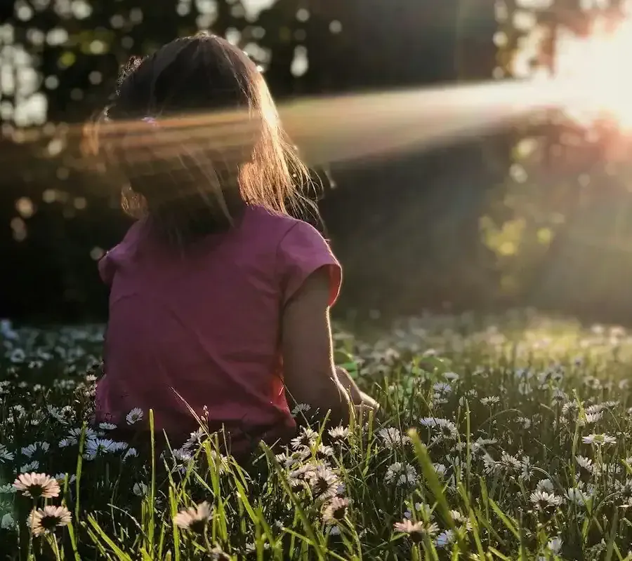 A child sitting in a field of flowers with sun rays