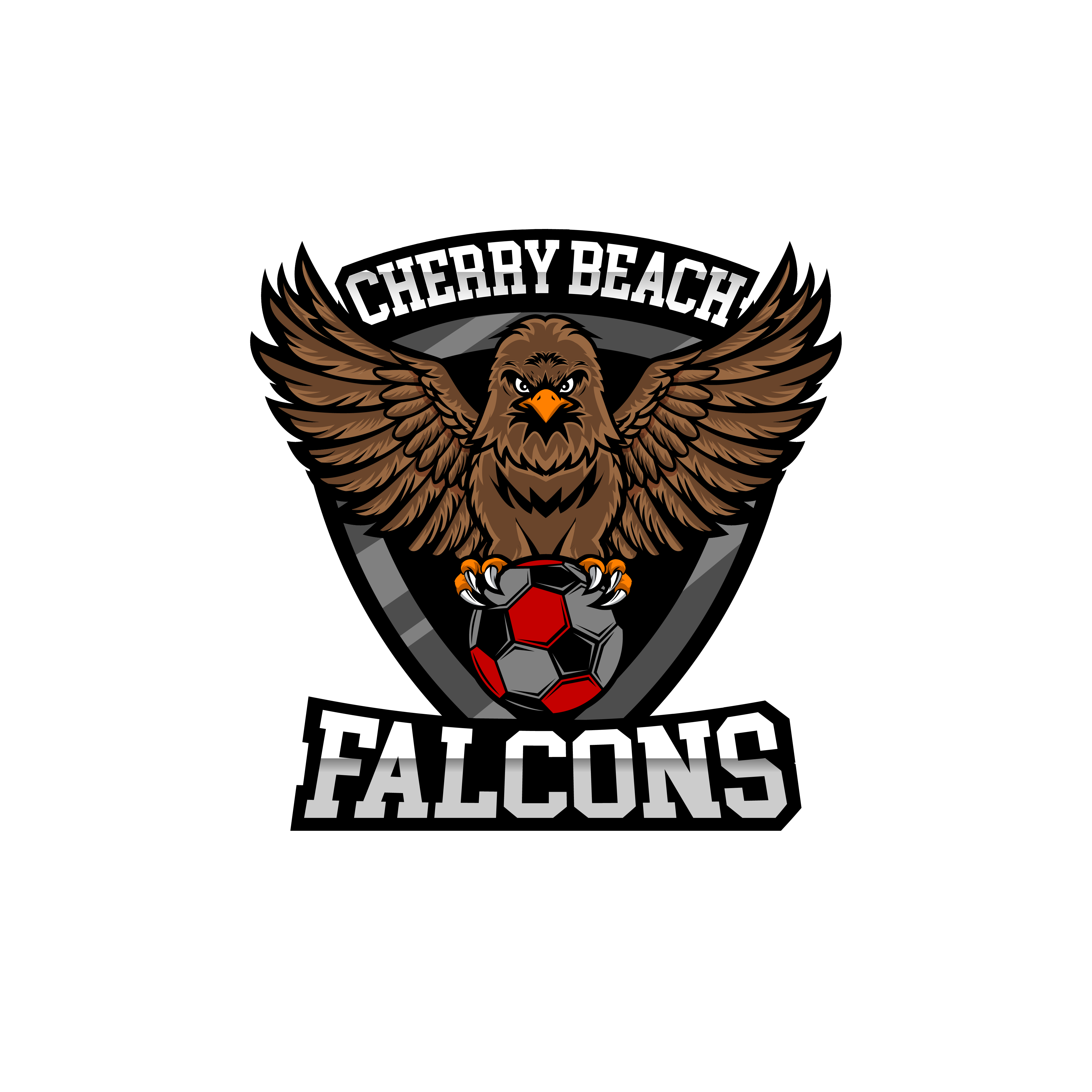 Cherry Beach Falcons Logo