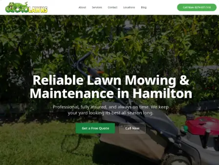 Gecko Lawns website preview