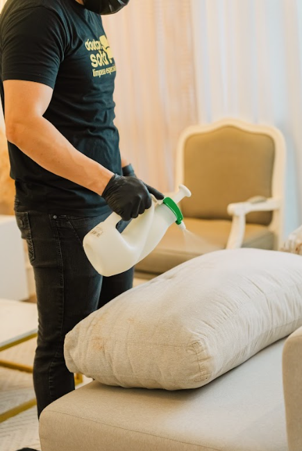 Professional upholstery cleaning