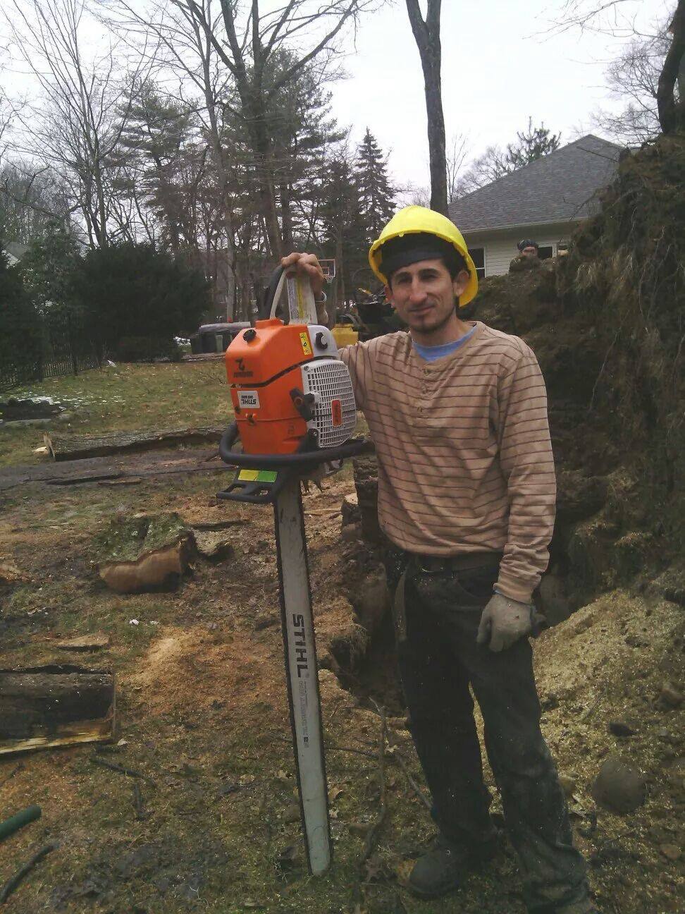 Professional Tree Care