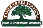 Tames Tree Services Logo