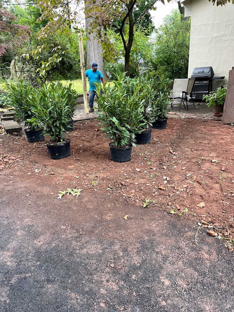 Landscaping