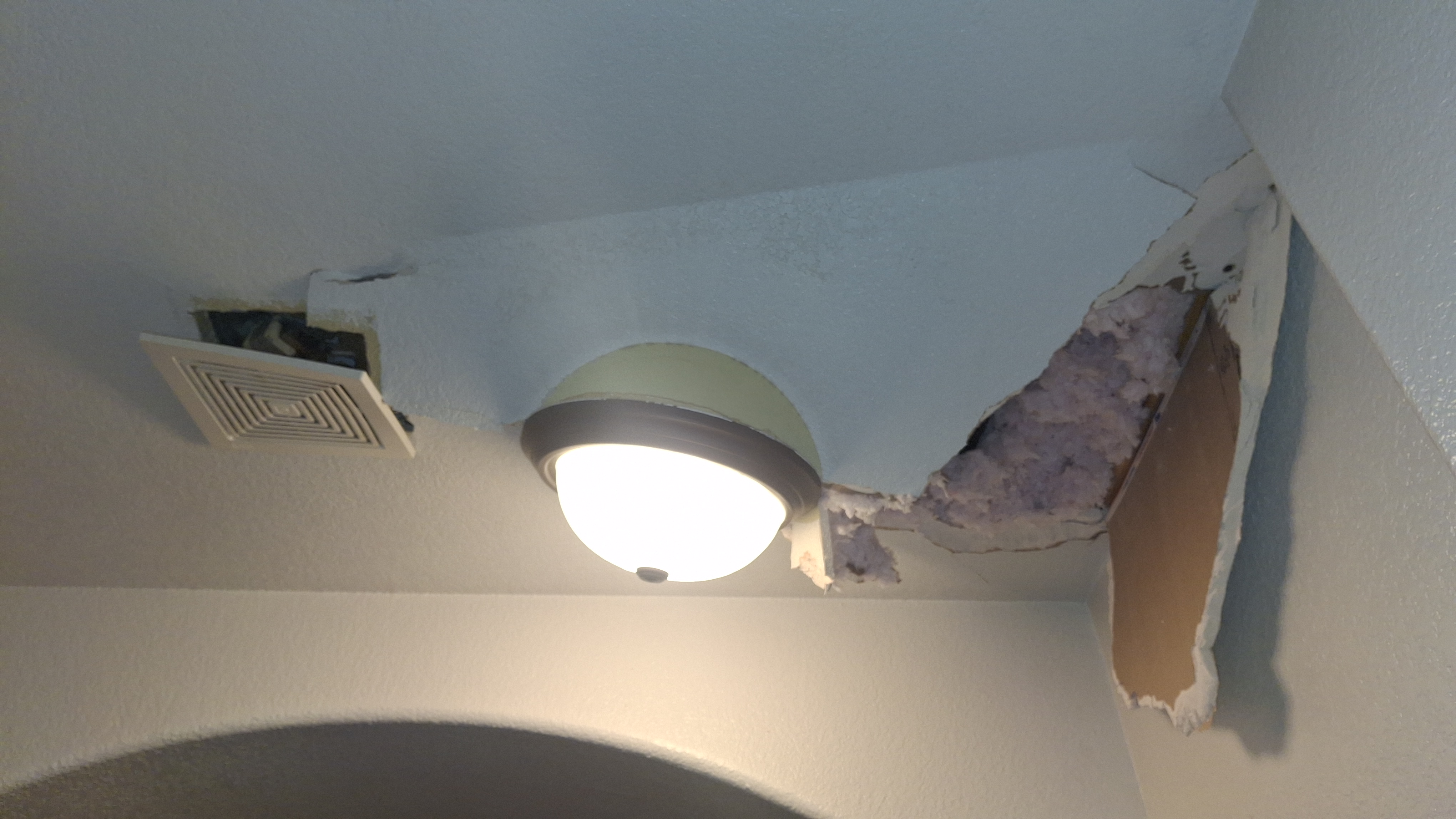 Ceiling Damage