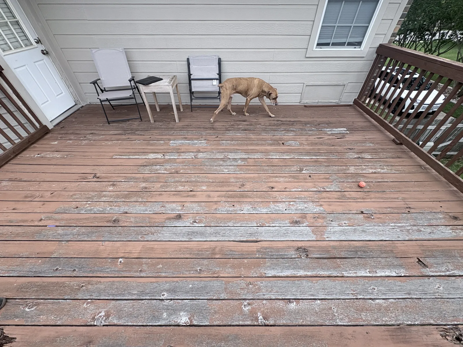 Deck Before