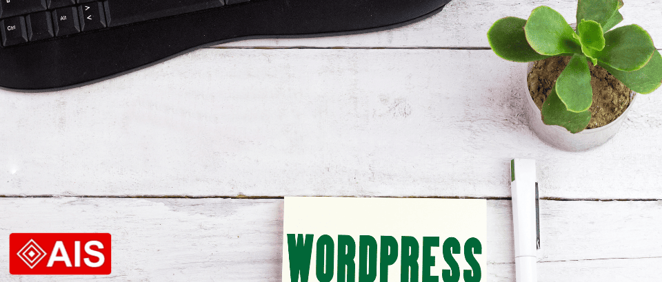Why We Build with Bricks Builder for WordPress