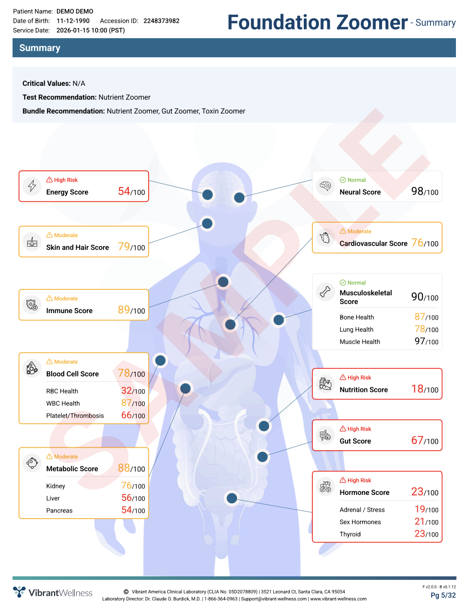 Foundation Zoomer Body System Summary
