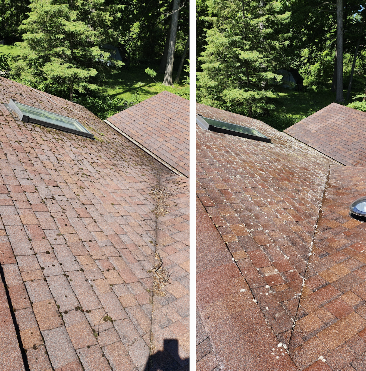 Roof Cleaning Before and After
