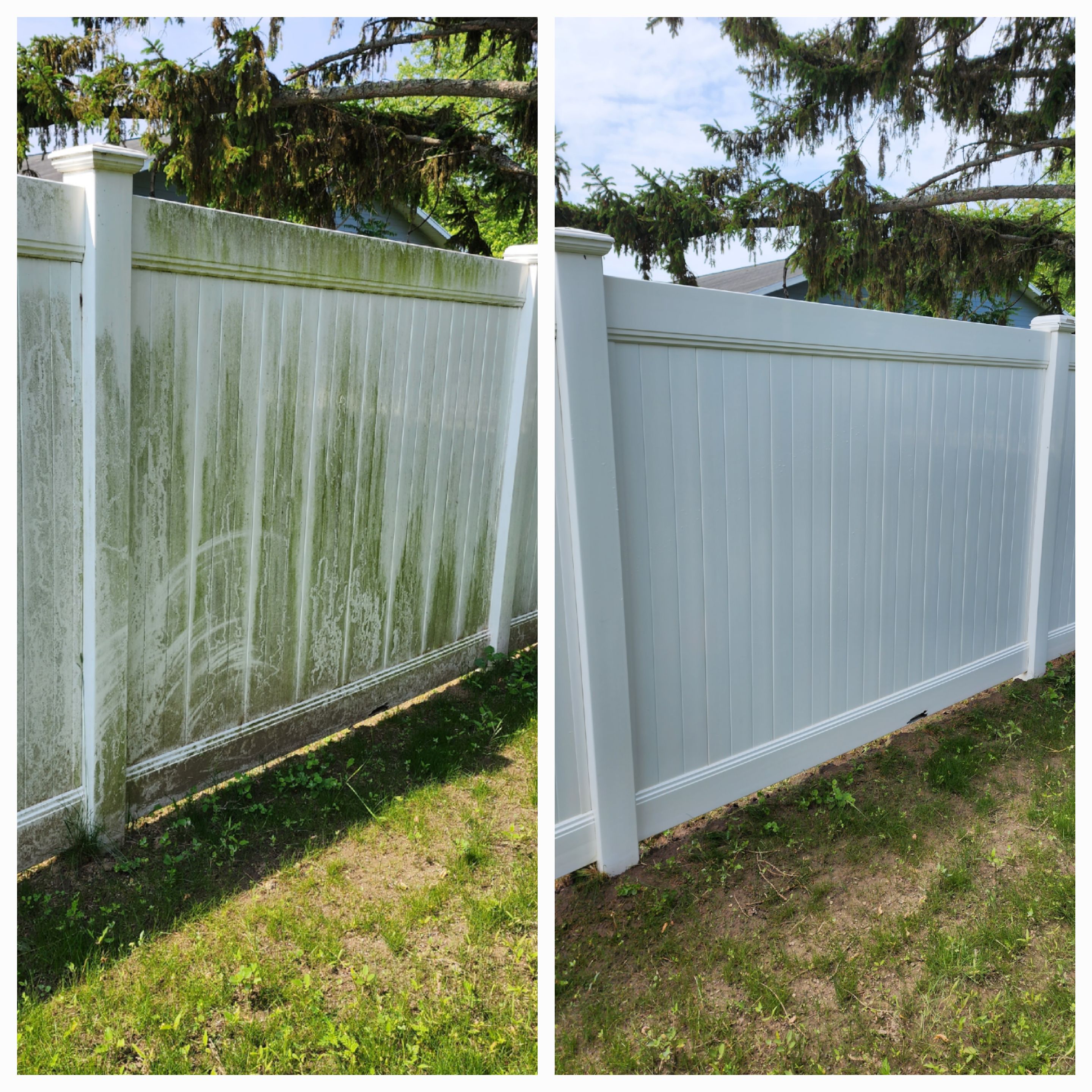 Fence Cleaning Before and After