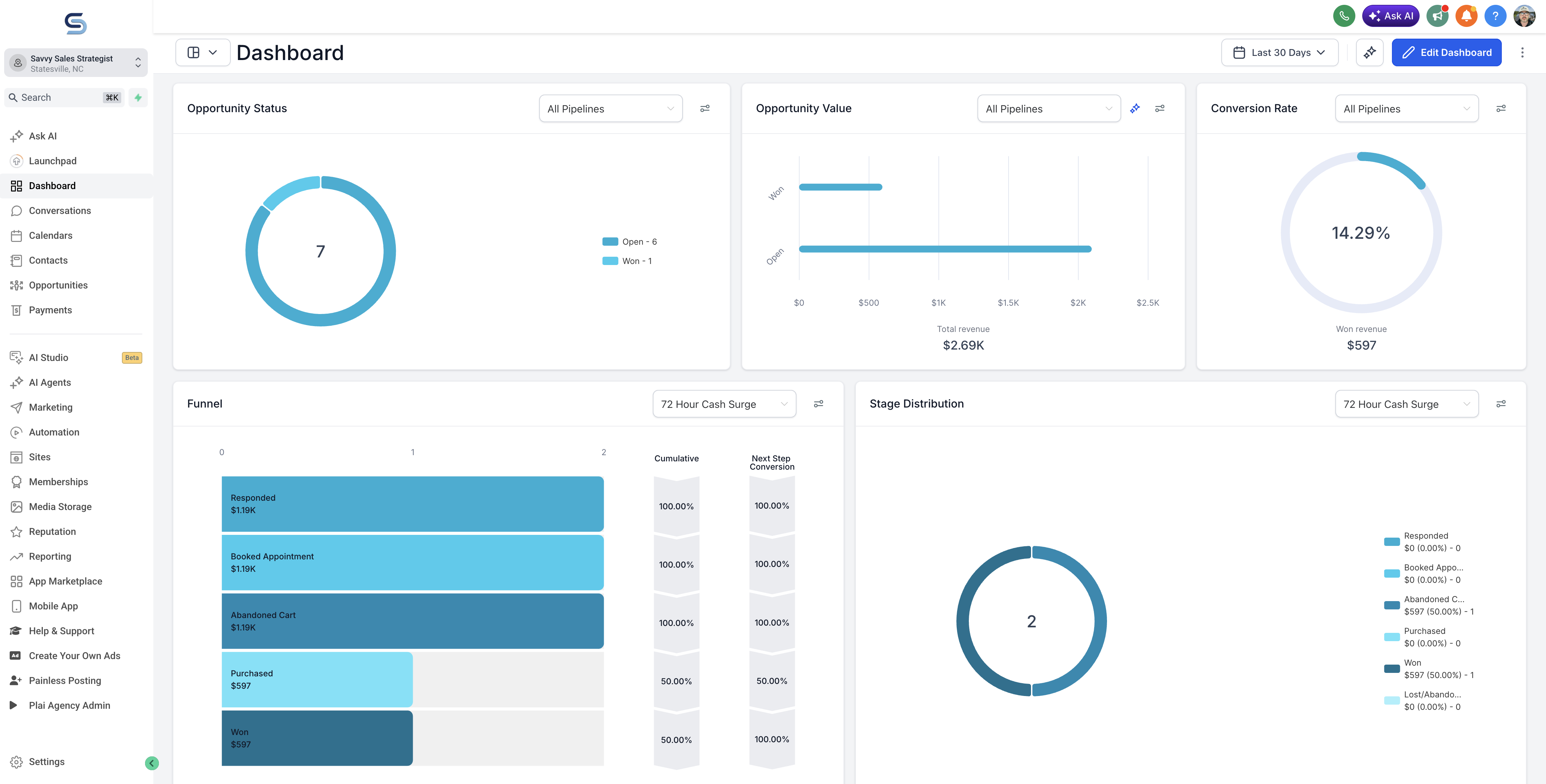 Savvy Sales System CRM Dashboard and Revenue Analytics