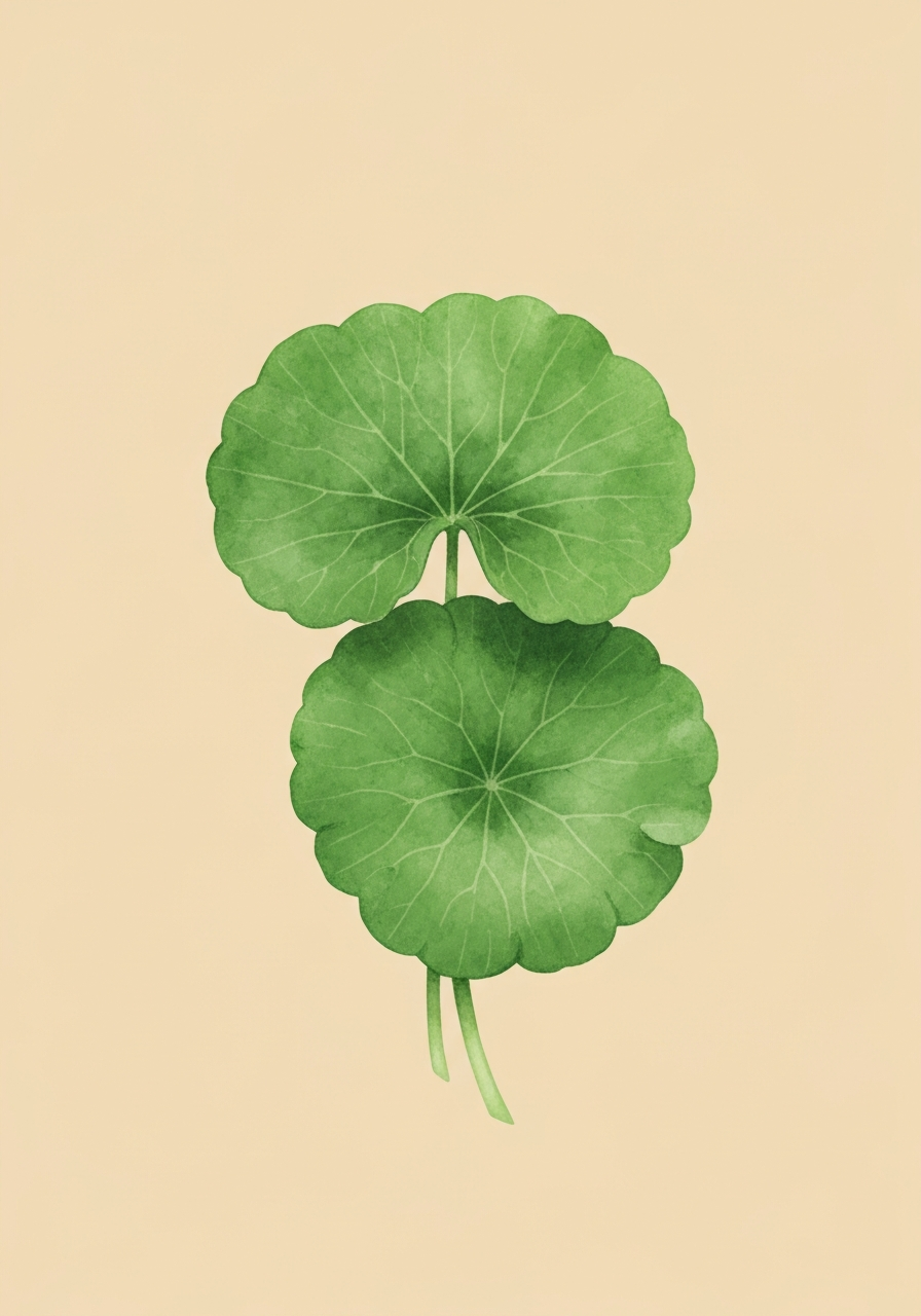 Centella