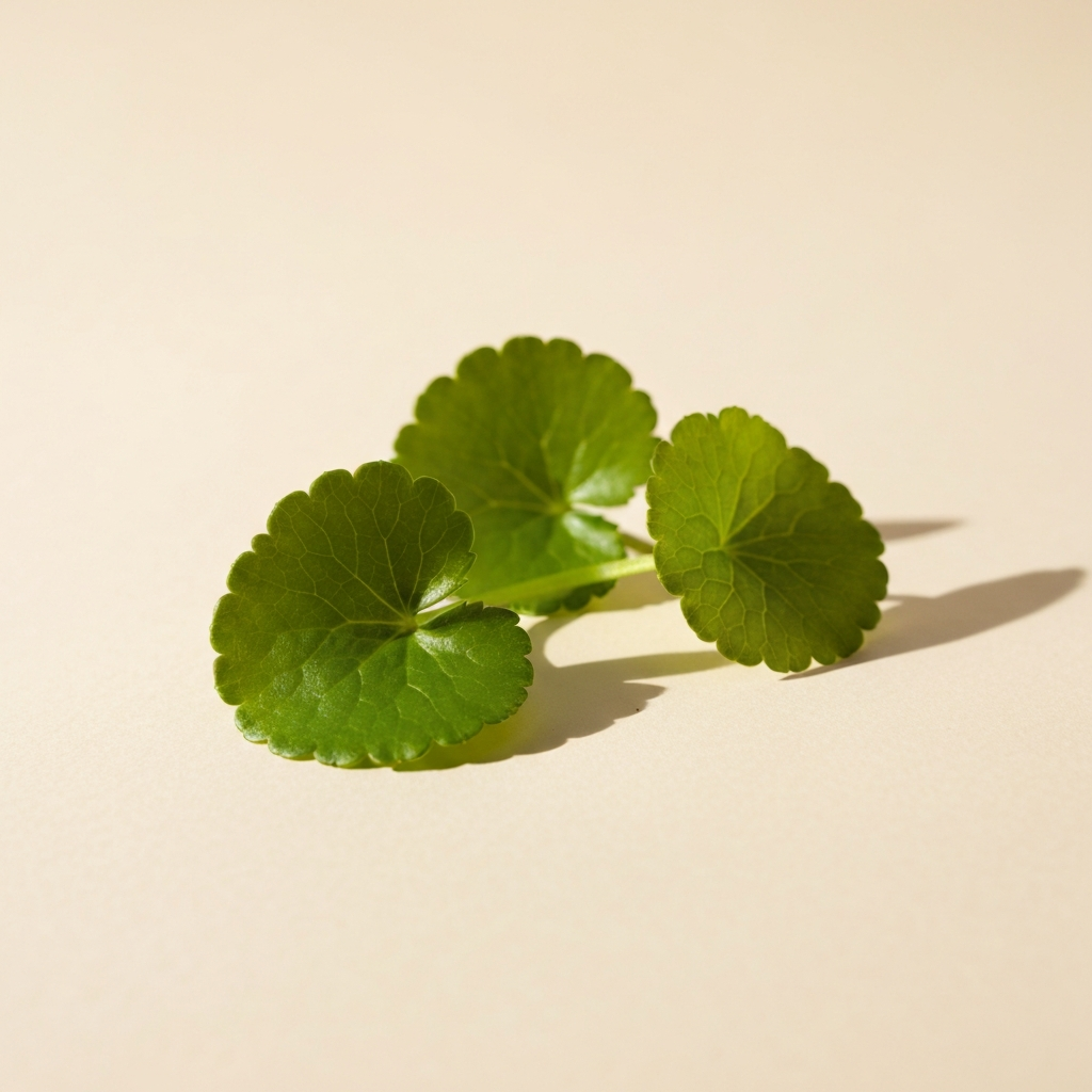 CENTELLA ASIATICA