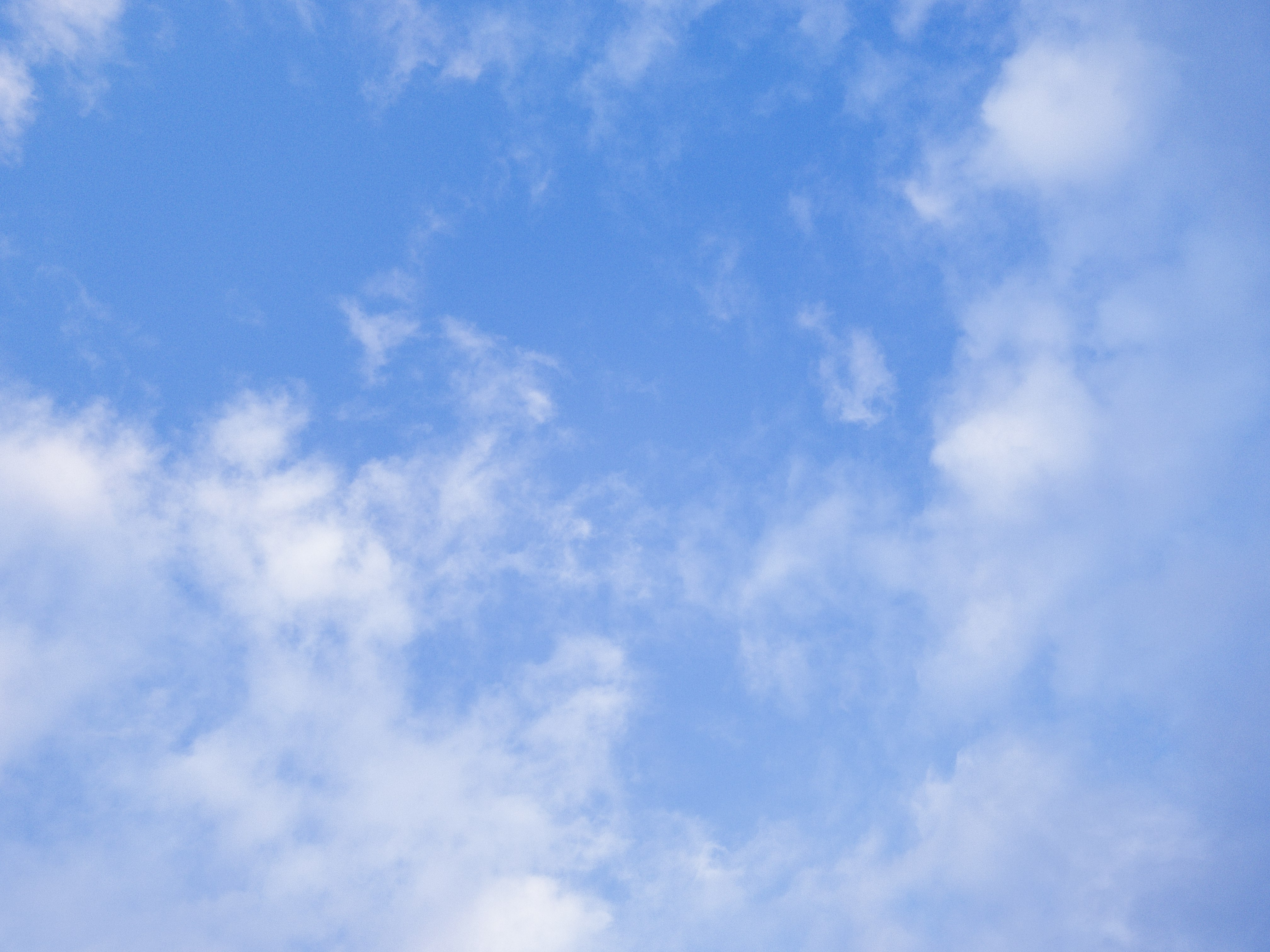 Clear blue sky with scattered clouds, representing the agricultural landscape and outdoor recreational opportunities in Wharton County, Texas.