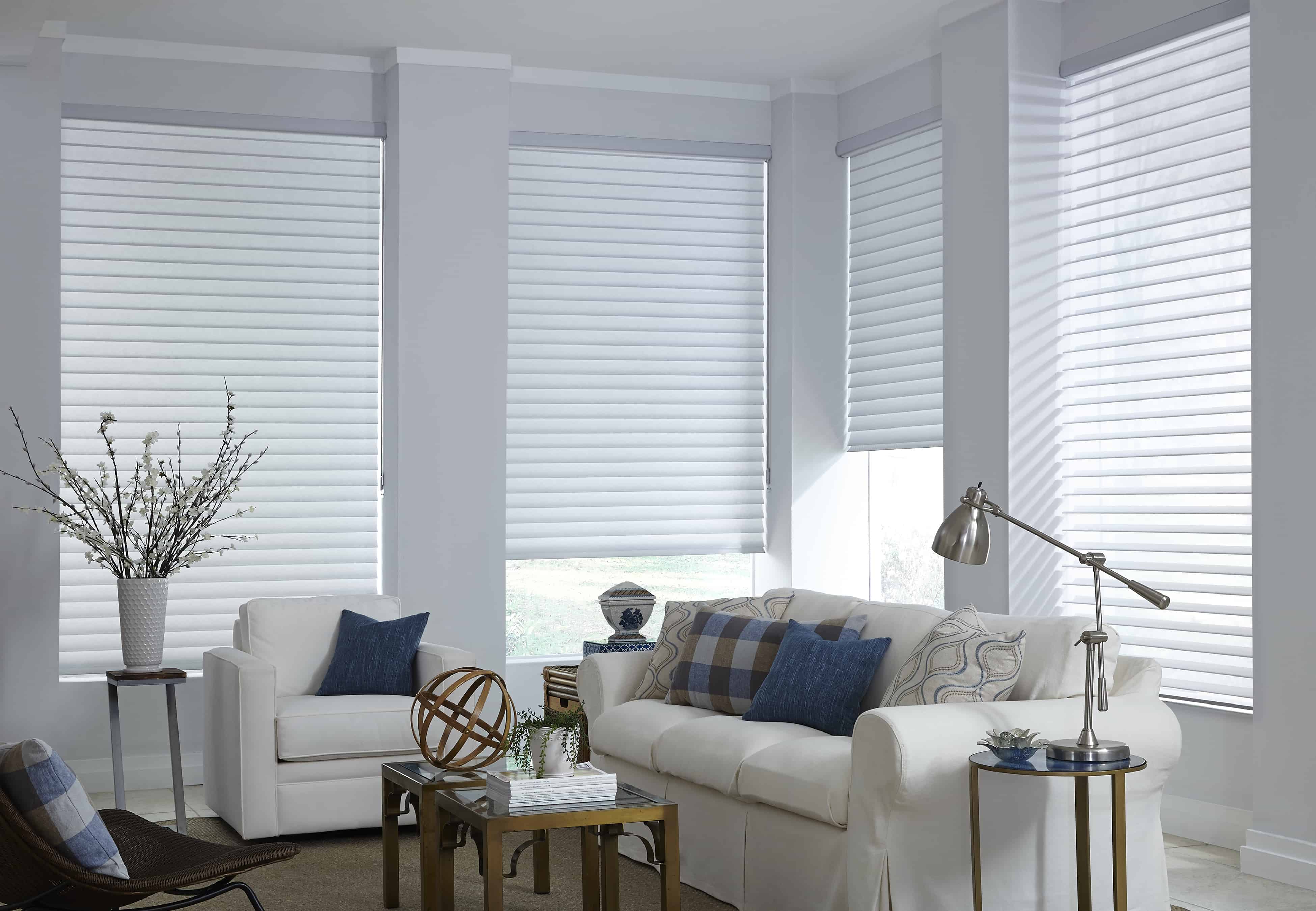 Living Room Blinds